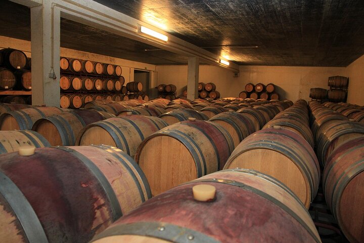 Arrabida Wine Tour from Lisbon: Wineries, Tastings & Tile Factory, photograph 4