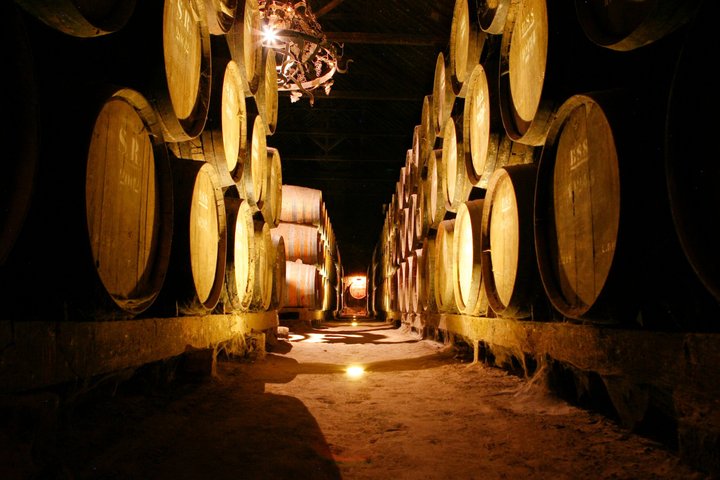 Arrabida Wine Tour from Lisbon: Wineries, Tastings & Tile Factory, photograph 6