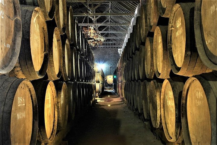 Private Wine Tasting in the Setúbal Wine Region, from Lisbon, photograph 1
