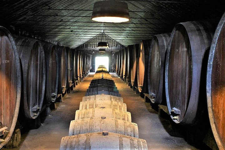 Private Wine Tasting in the Setúbal Wine Region, from Lisbon, photograph 2