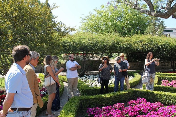 Private Wine Tasting in the Setúbal Wine Region, from Lisbon, photograph 3