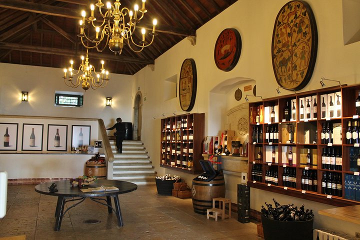 Private Wine Tasting in the Setúbal Wine Region, from Lisbon, photograph 4